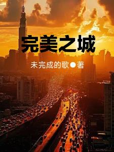 完美之城小说正版